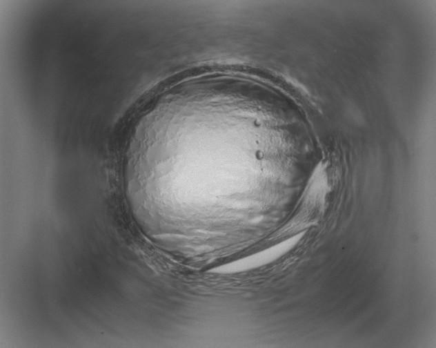 X0000082951255200702152231
