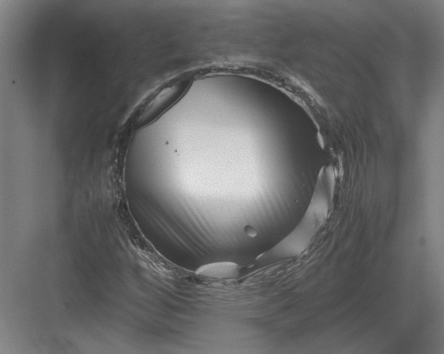 X0000082951256200702152231