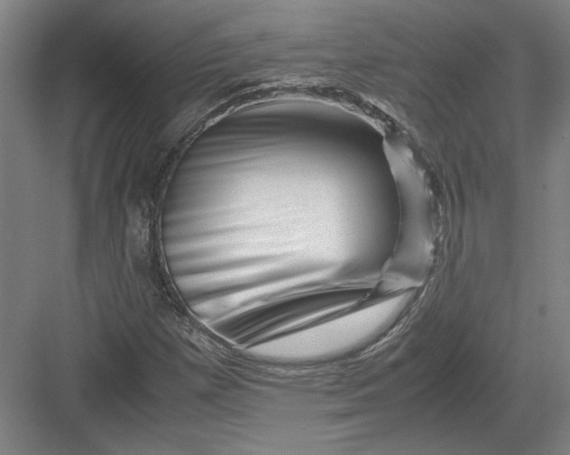 X0000082951257200702152231