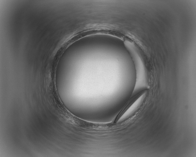 X0000082951261200702152231