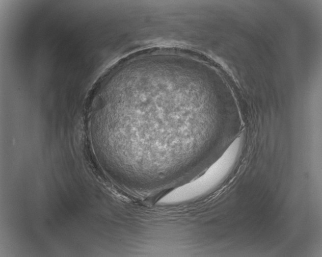 X0000082951263200702152231