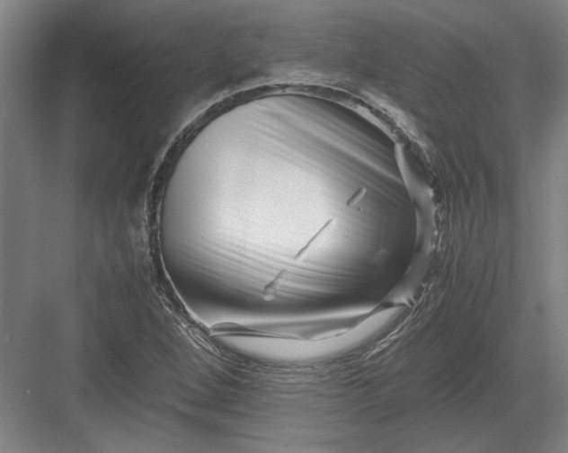 X0000082951264200702152231
