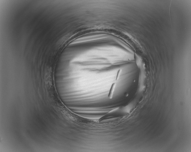 X0000082951265200702152231