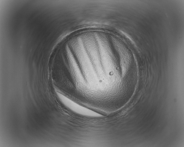 X0000082951267200702152231