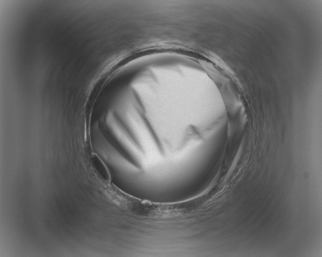 X0000082951269200702152231