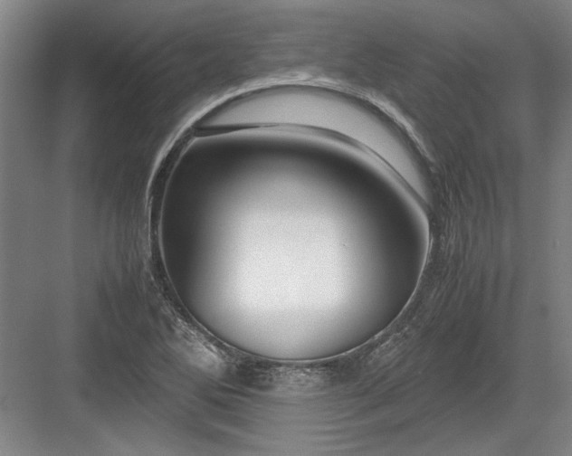 X0000082951270200702152230