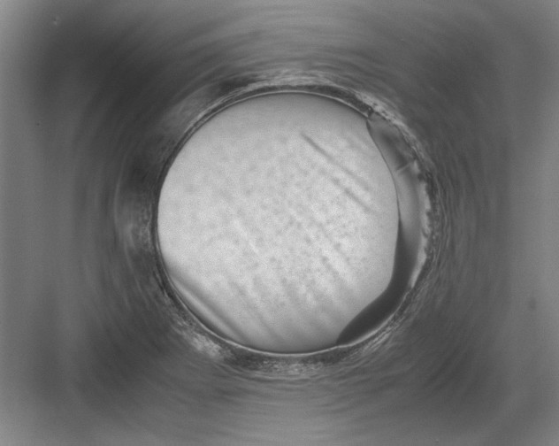 X0000082951273200702152230
