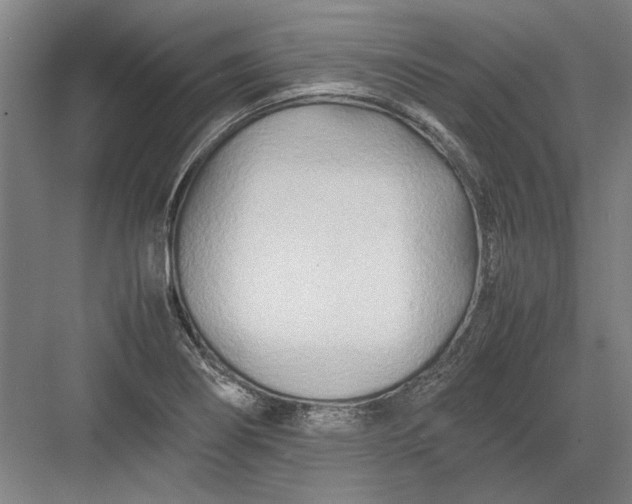 X0000082951274200702152230