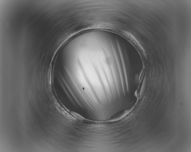 X0000082951276200702152230