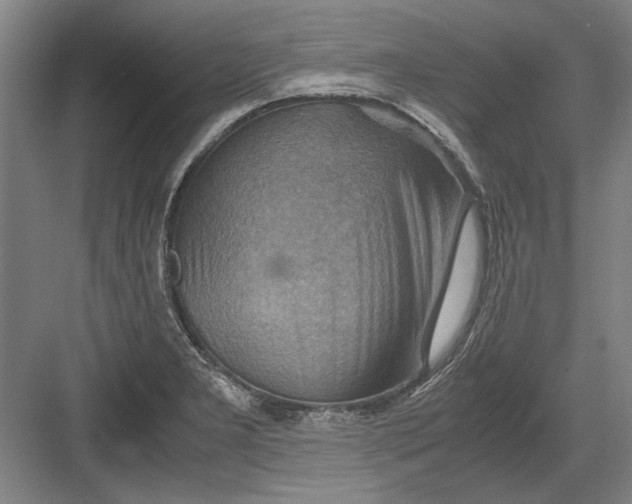 X0000082951277200702152230