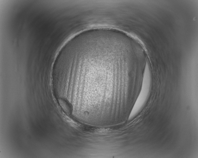 X0000082951279200702152230