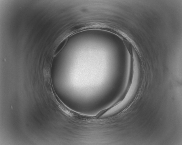 X0000082951281200702152230