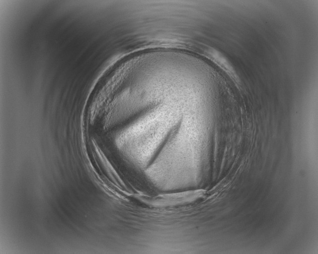 X0000082951283200702152230