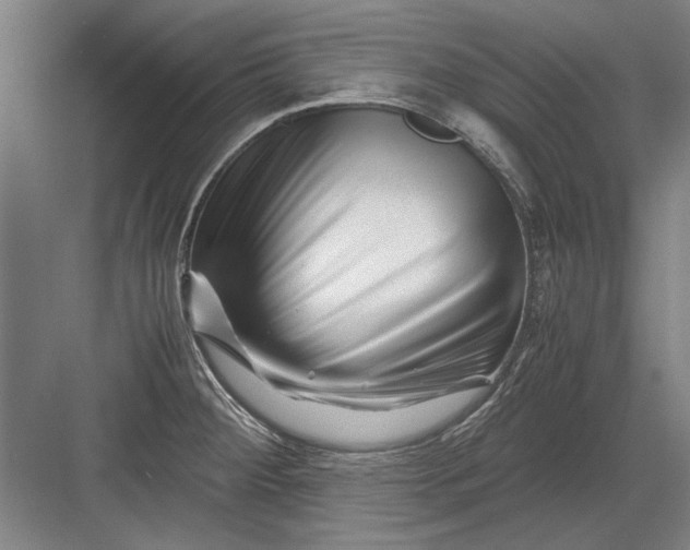 X0000082951284200702152230