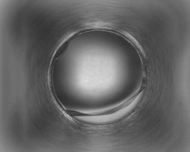 X0000082951285200702152230
