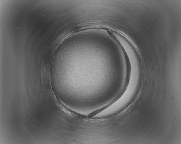 X0000082951289200702152230
