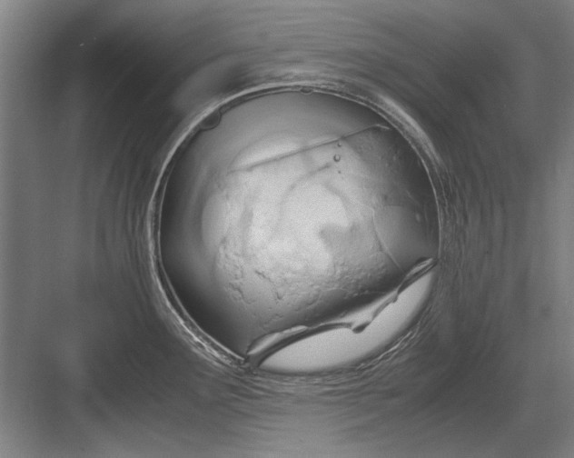 X0000082951291200702152230