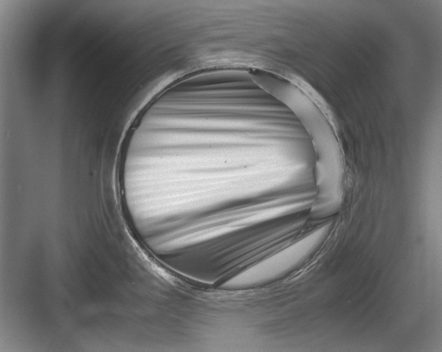 X0000082951293200702152230