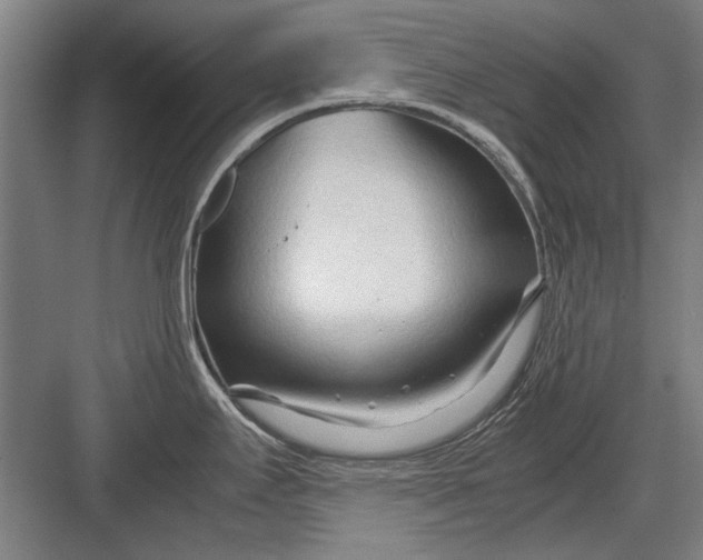 X0000082951295200702152230