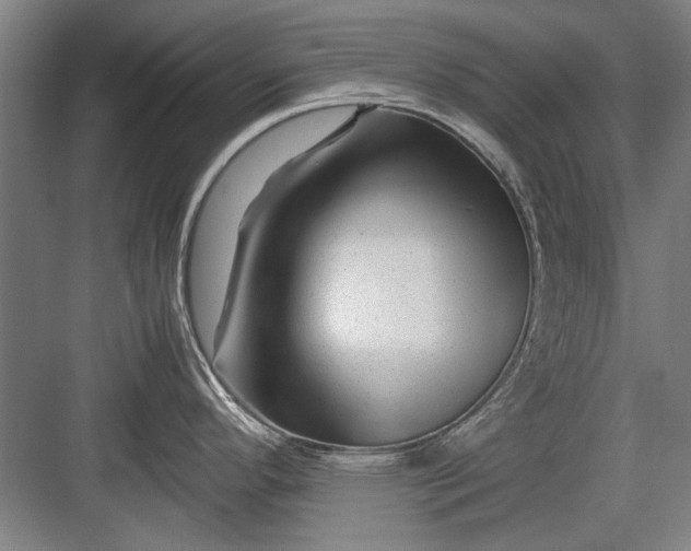 X0000082951296200702152230