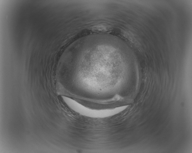 X0000082951297200702152229