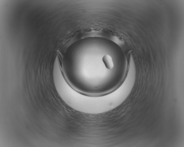 X0000082951298200702152229