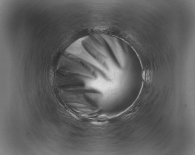 X0000082951299200702152229