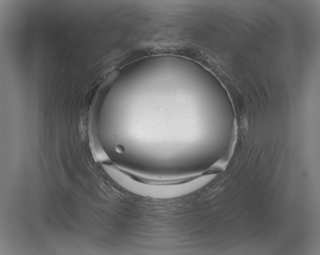 X0000082951300200702152229