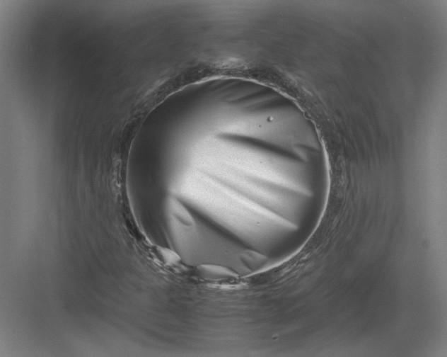 X0000082951301200702152229
