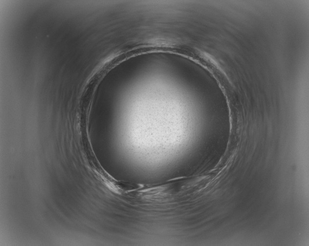 X0000082951307200702152229
