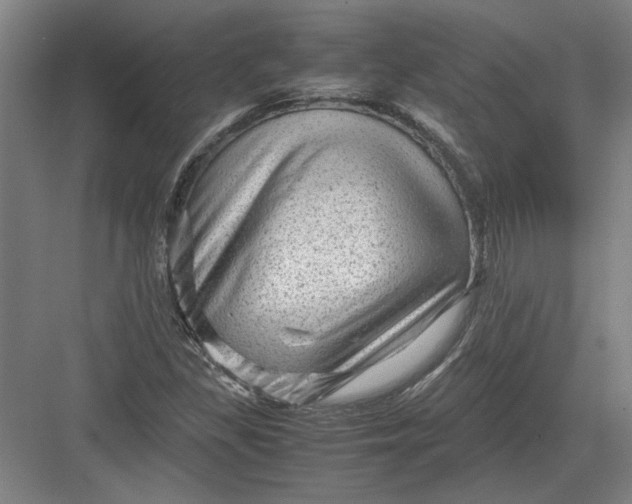 X0000082951309200702152229