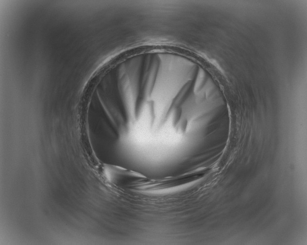X0000082951311200702152229