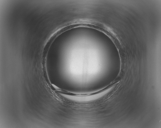 X0000082951312200702152229