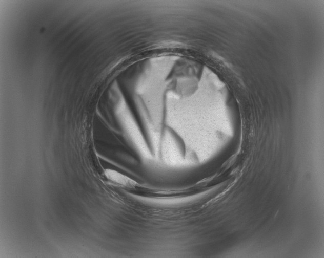 X0000082951313200702152230