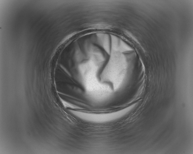 X0000082951315200702152230