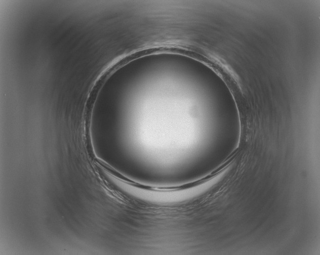 X0000082951316200702152230