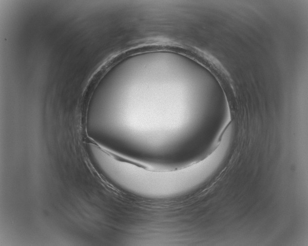 X0000082951318200702152230