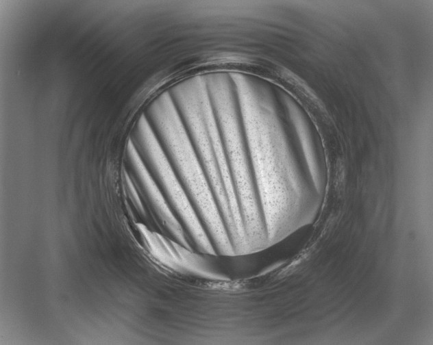 X0000082951321200702152230