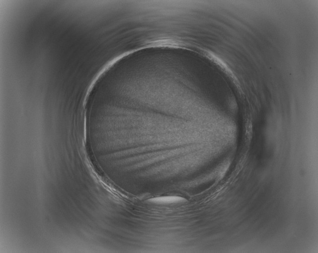 X0000082951323200702152230