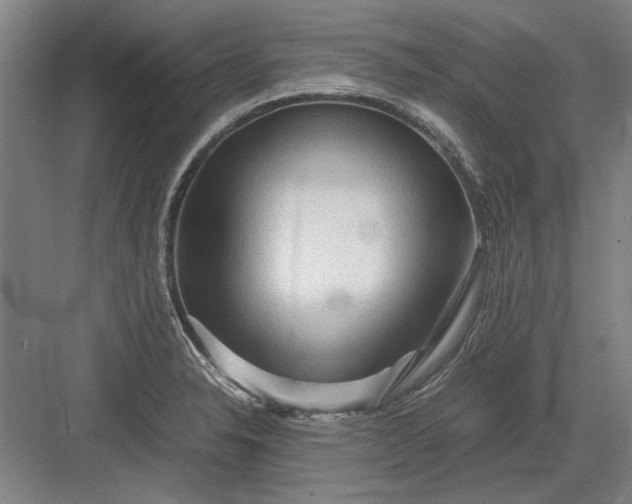 X0000082951326200702152230
