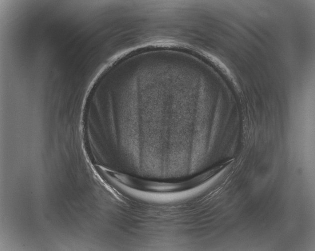X0000082951327200702152230