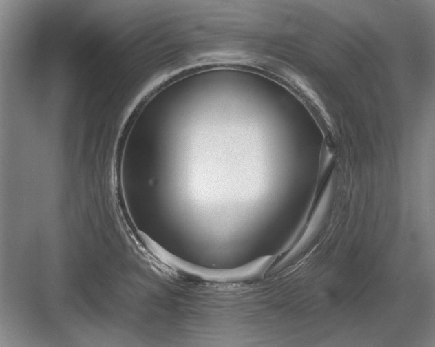 X0000082951328200702152230