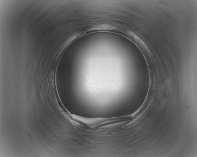 X0000082951329200702152230