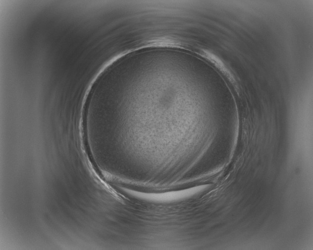 X0000082951331200702152230