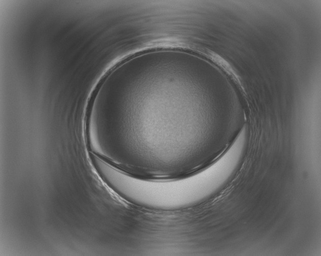 X0000082951334200702152230