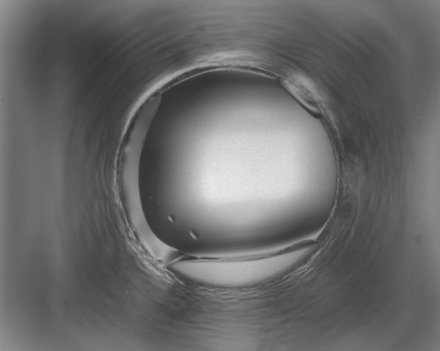 X0000082951336200702152230