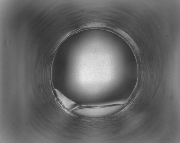 X0000082951337200702152230