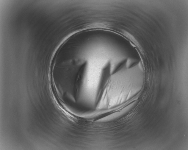 X0000082951339200702152230