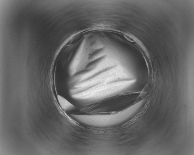 X0000082951341200702152230