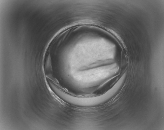 X0000082951342200702152230